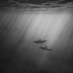 tubu8HD👙👙软件
