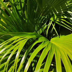 tubu8HD👙👙软件
